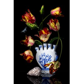 Royal tulp